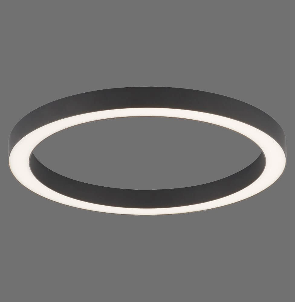 Ronde vloerlamp Pure Lines Round Ø 50cm antraciet Paul Neuhaus 4012248375853