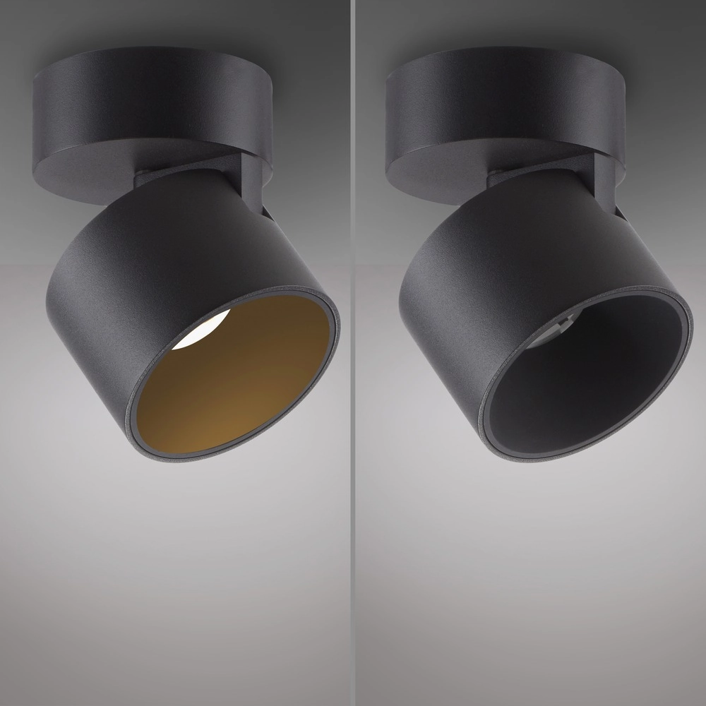 Strakke opbouwspot Pure Cup black pearl Paul Neuhaus 4012248395585