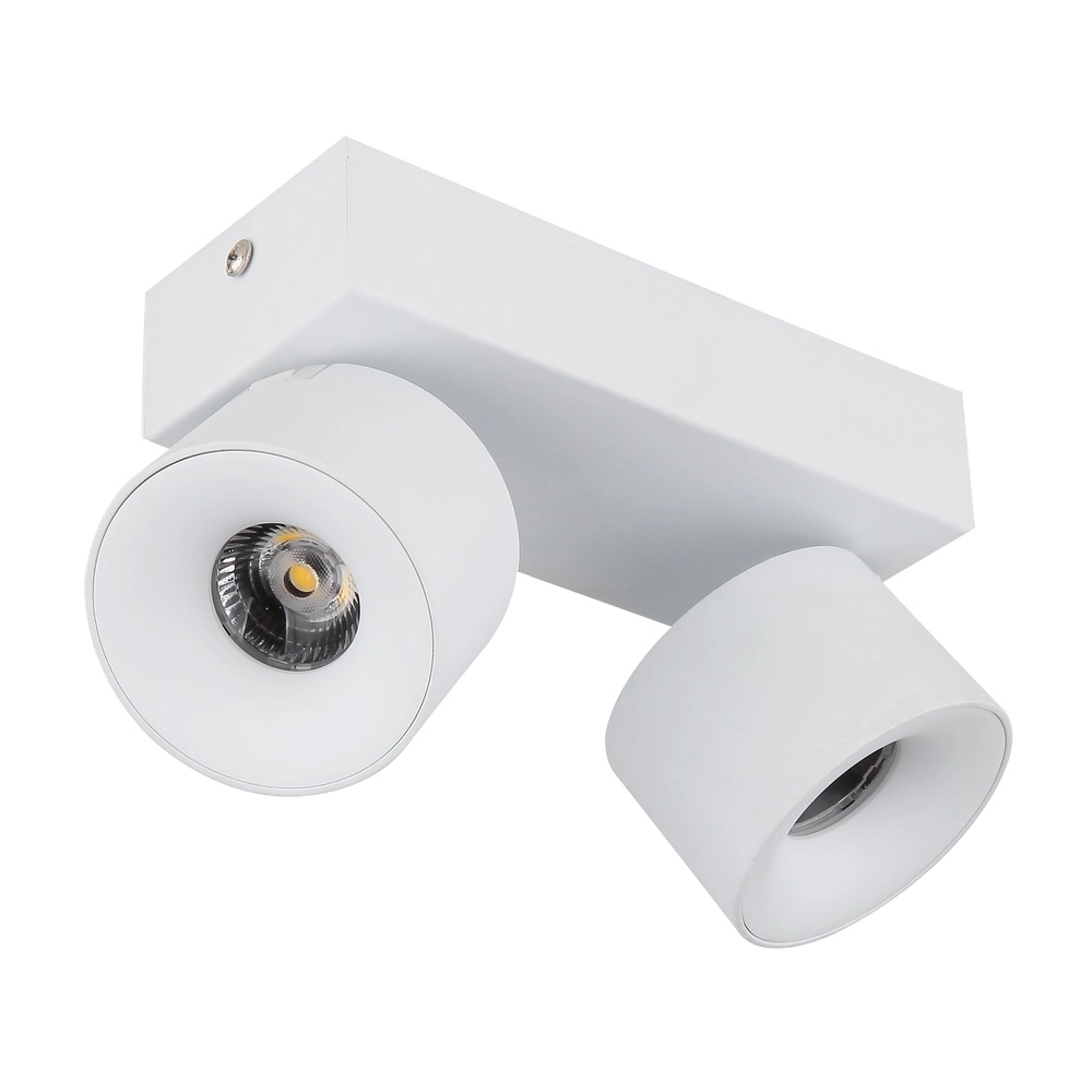 Strakke plafondlamp Rae 2-lichts wit Globo 9007371450640