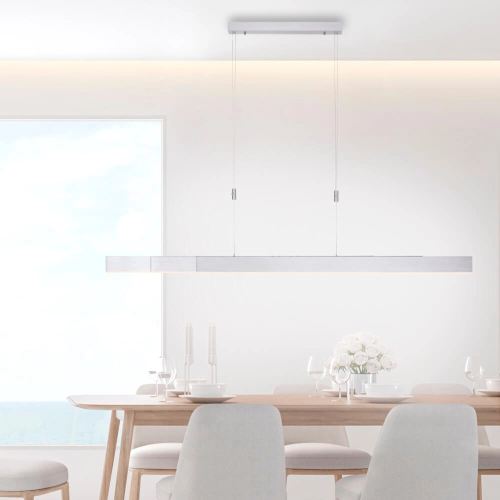 Led hanglamp Pure-Moto geborsteld metaal Paul Neuhaus 4012248363775