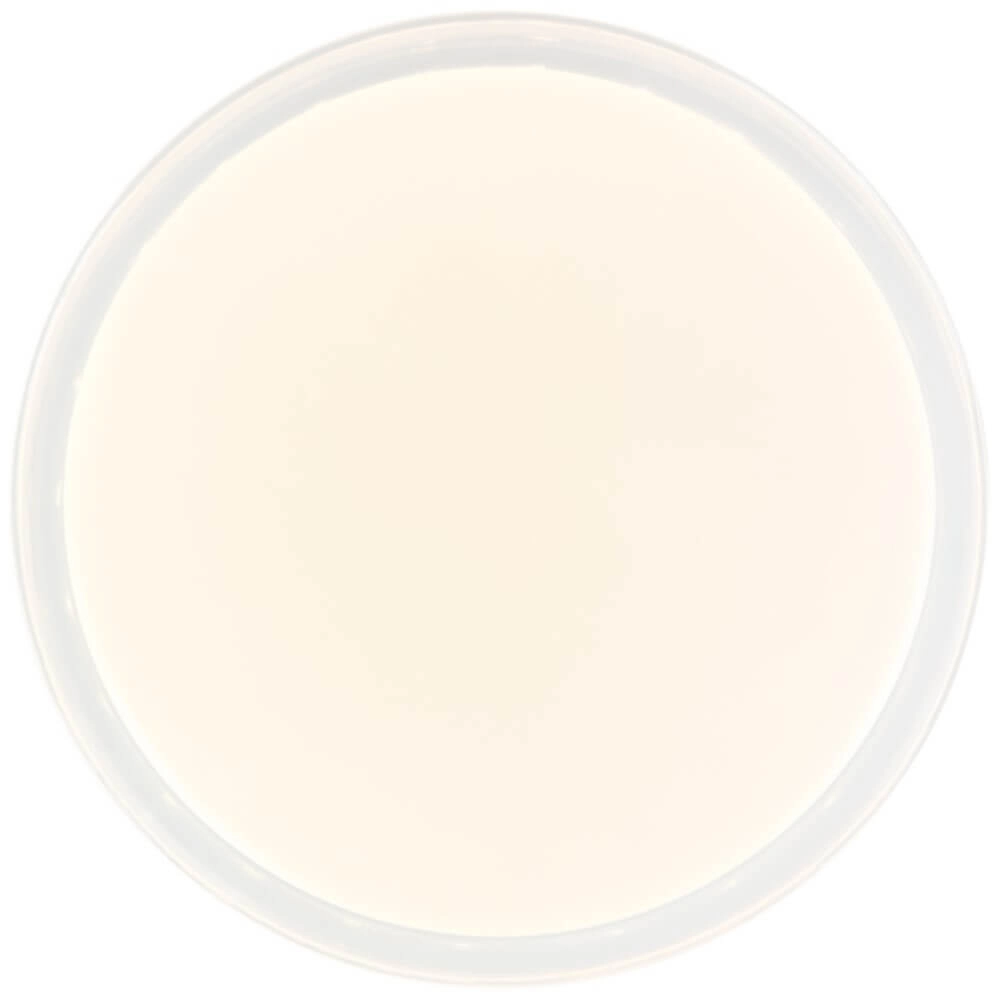 Led plafondlamp Leanna dimbaar met Tuya Brilliant 4004353379925