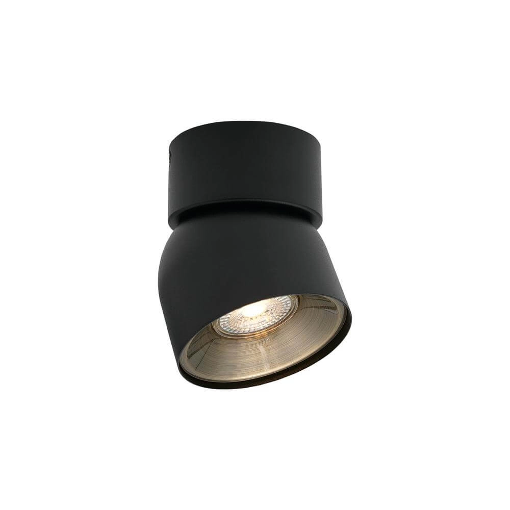 Zwarte spot Pitcher richtbaar