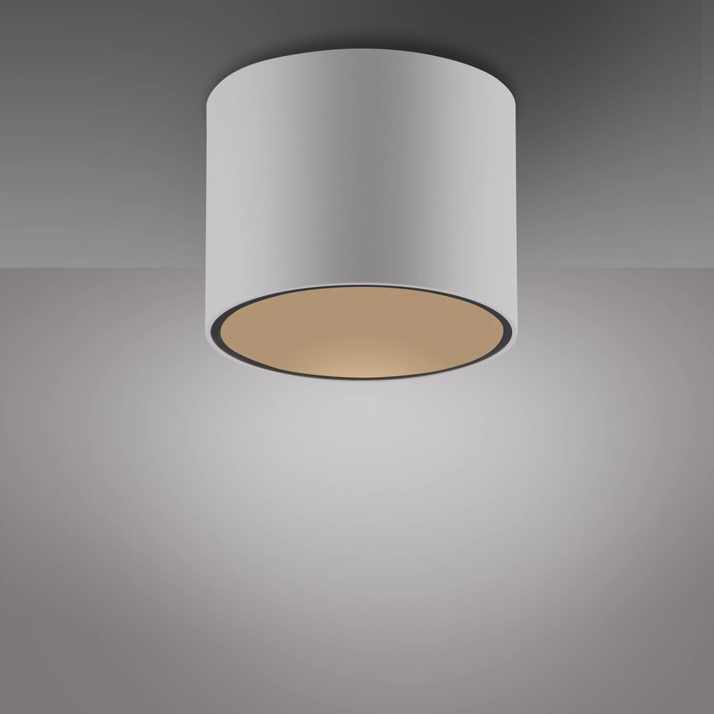 Plafond opbouwspot Pure Point Ø 11cm - wit Paul Neuhaus 4012248395639