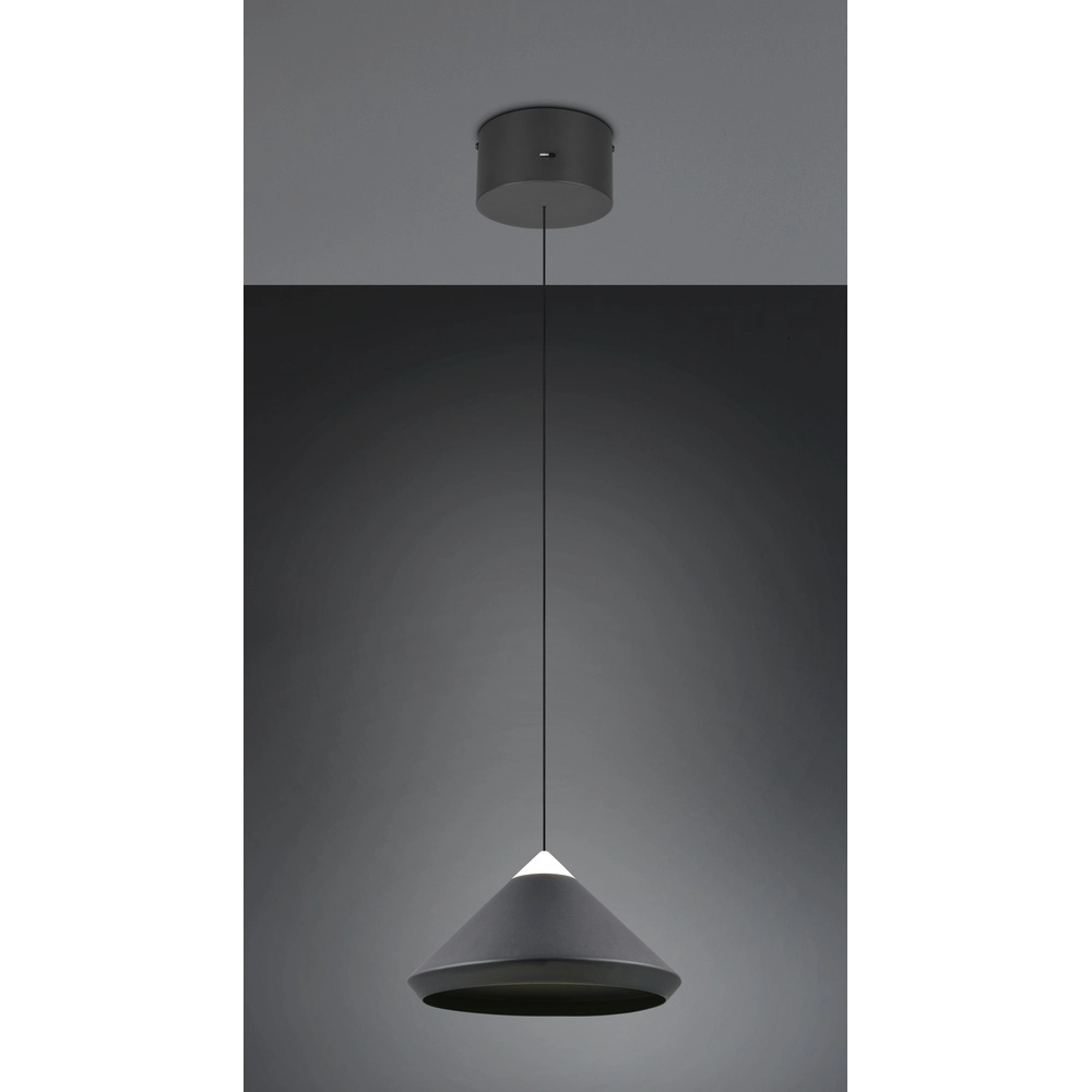 Moderne hanglamp Laguna Ø 30cm zwart Trio 4017807677508