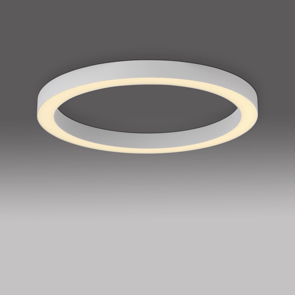 Strakke led plafondlamp Pure Lines Round Ø 50cm - wit Paul Neuhaus 4012248395806