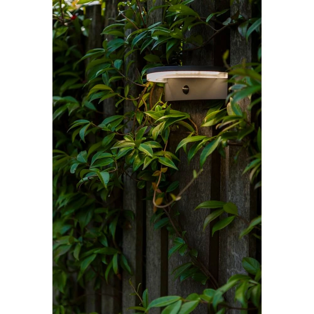 Sensor buitenlamp Vyzor op zonne energie Lutec 6939412016320