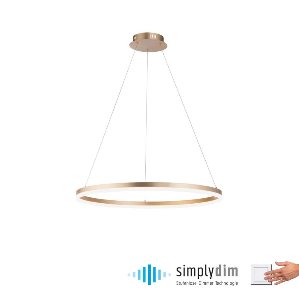 Moderne hanglamp Titus Ø 80cm antiek messing Paul Neuhaus 4012248362877