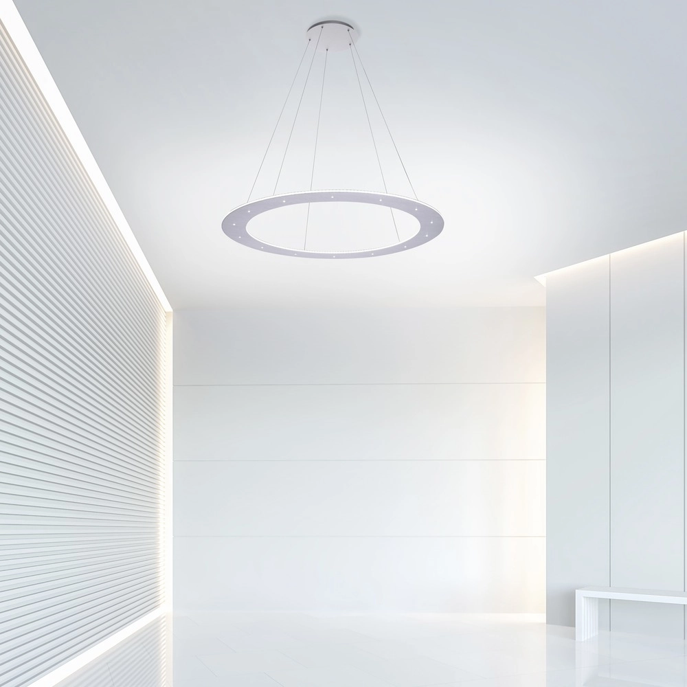 Led hanglamp Pure Cosmo geborsteld metaal - Ø 75cm Paul Neuhaus 4012248350751