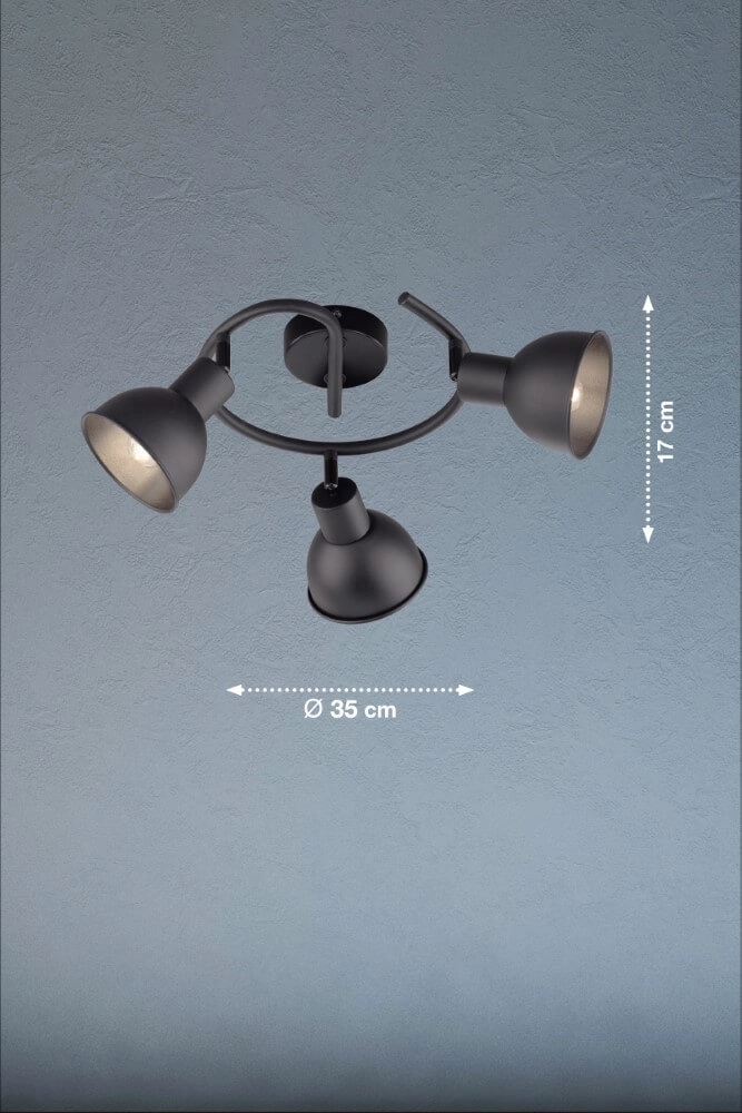 Mat zwarte plafondspot Speedy Fischer & Honsel 4003694212472