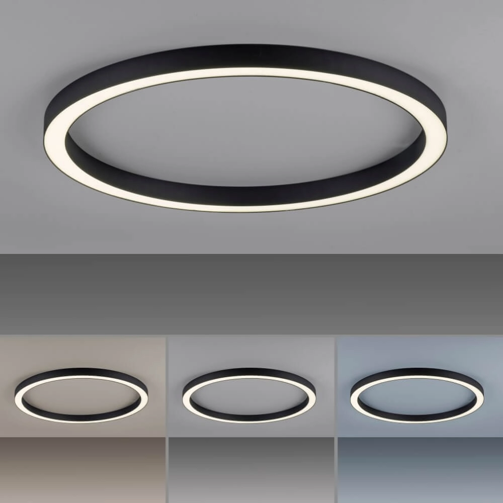 Ronde vloerlamp Pure Lines Round Ø 70cm antraciet Paul Neuhaus 4012248373521