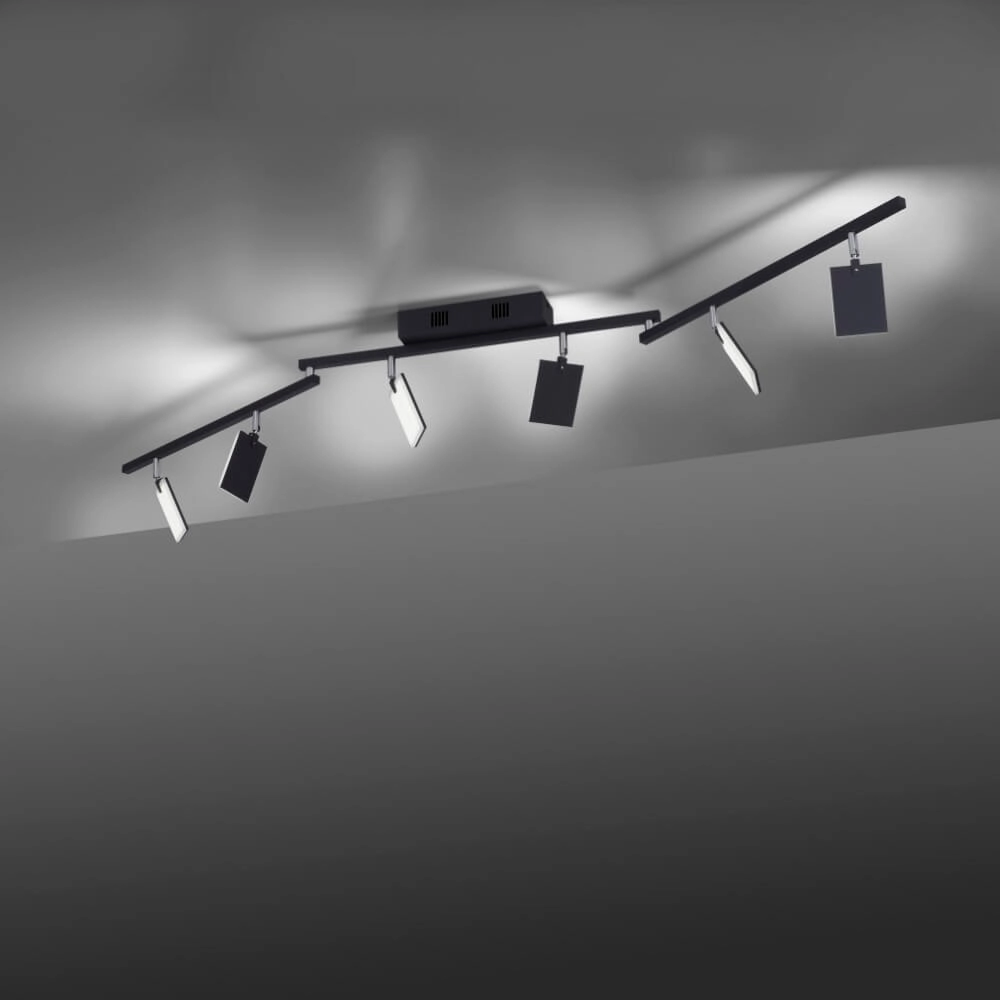 Plafondlamp Pure Mira 6-lichts zwart Paul Neuhaus 4012248359464