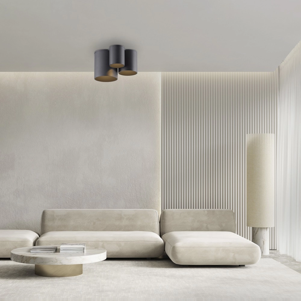 3L plafondlamp Pure Point black pearl Paul Neuhaus 4012248395714