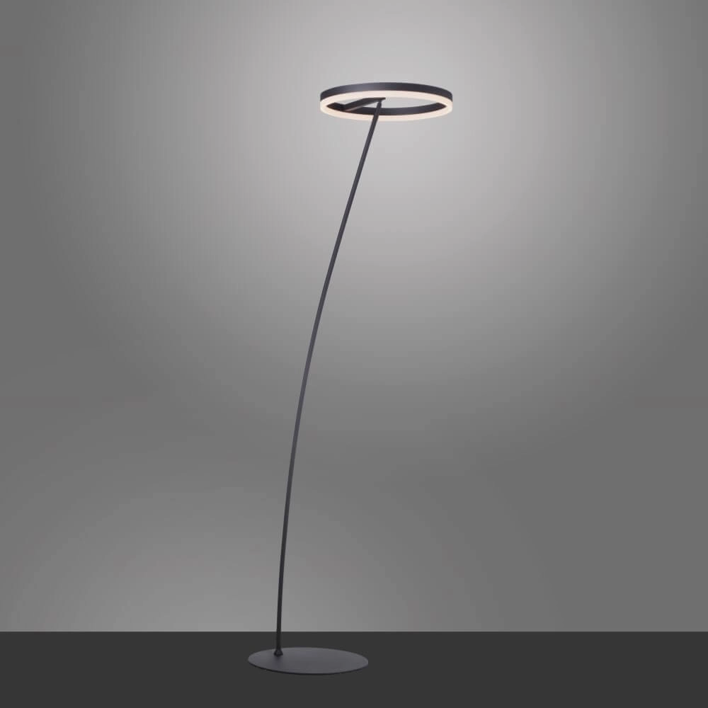 Antraciete vloerlamp Titus modern Paul Neuhaus 4012248357637