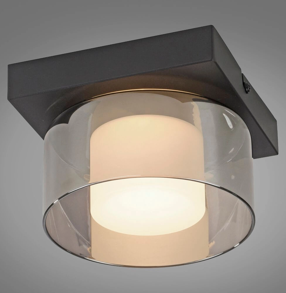 Zwarte plafondlamp Rika 1-lichts zwart Paul Neuhaus 4012248385012