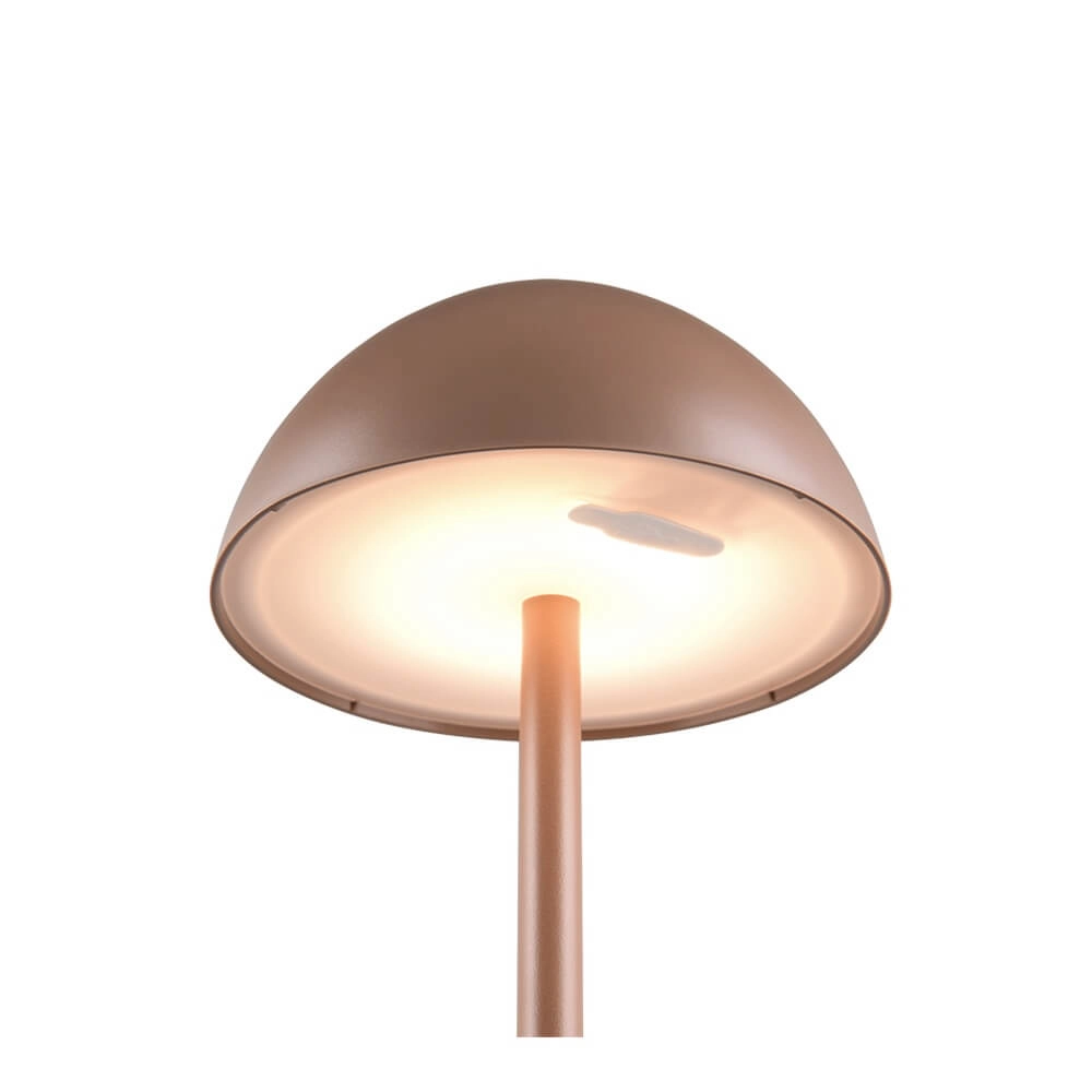 Oplaadbaar tafellampje Ricardo koffiebruin Trio 4017807633900