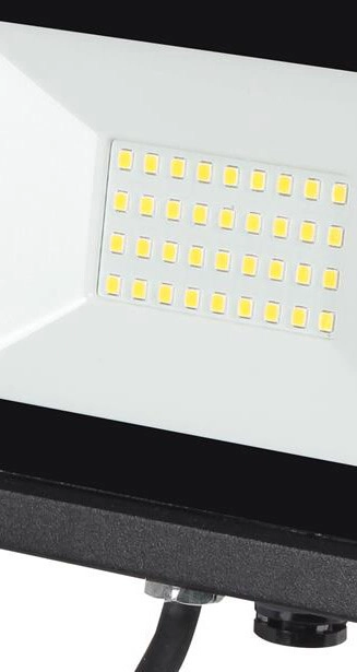 Led buitenschijnwerper Assist 30W - 2700 lm Reled 8719497494521