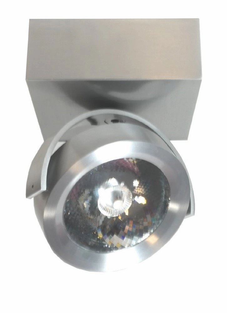 Opbouwspot Dutchess geborsteld metaal