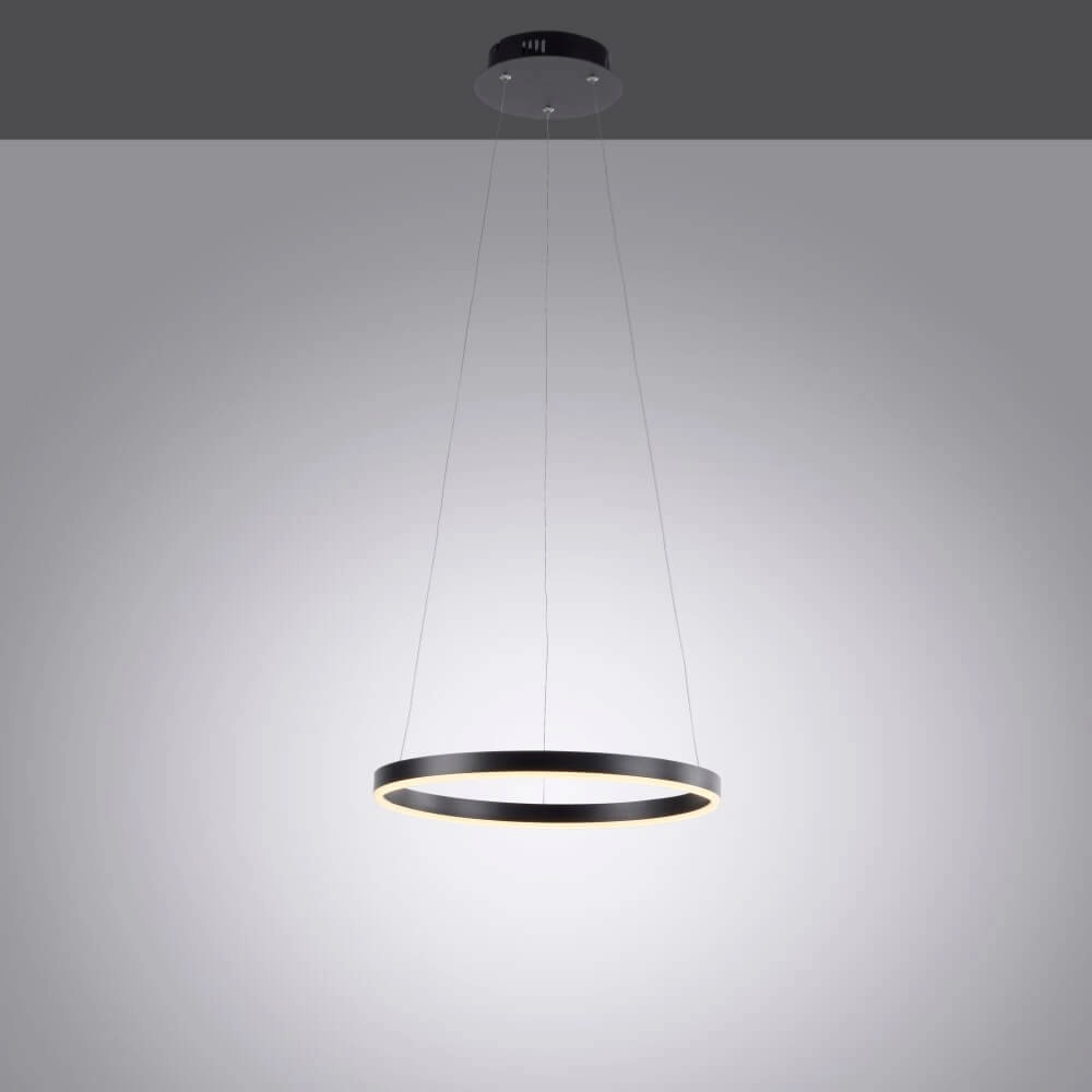Zwarte led hanglamp Ritus Ø 40cm Paul Neuhaus 4043689983949