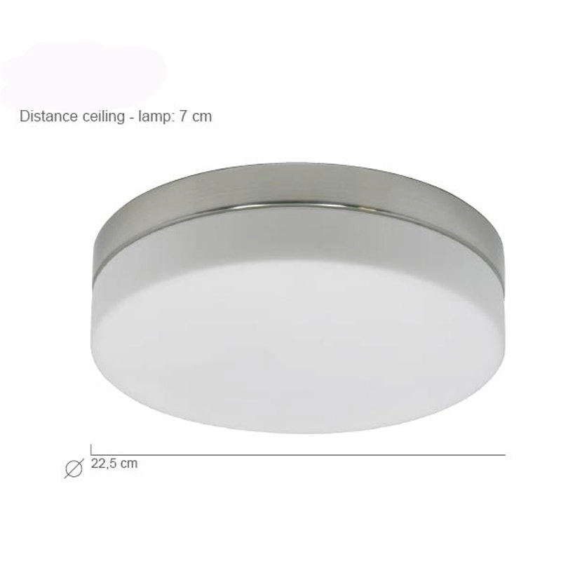 Plafonniere Ceiling 22cm 2950K metaalgrijs Steinhauer 8712746115284