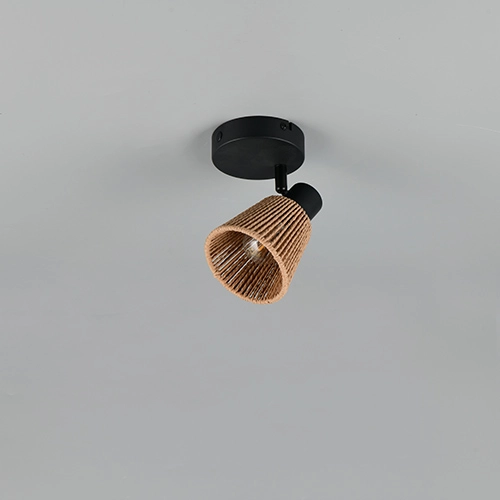 Plafondlamp Natrel enkel bruin Trio 4017807672312