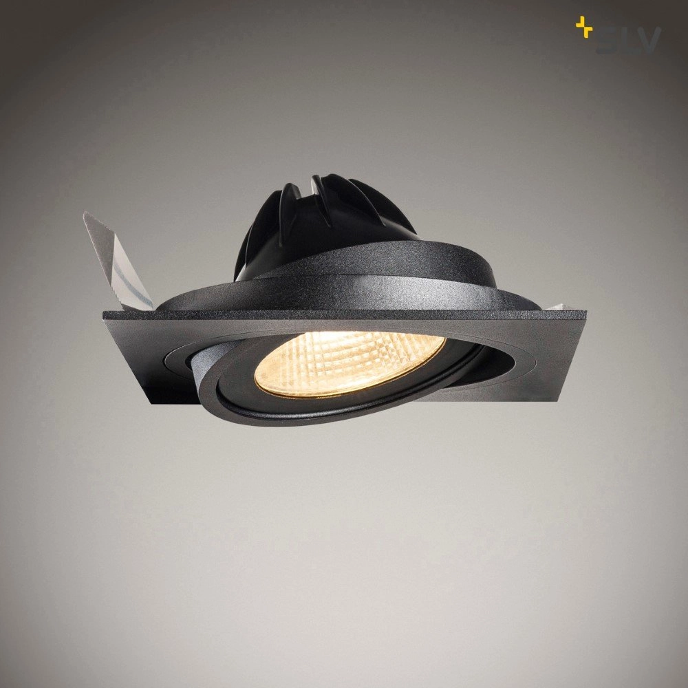 Inbouwspot New Tria ES111 Round zwart met bladveren SLV 4024163150293