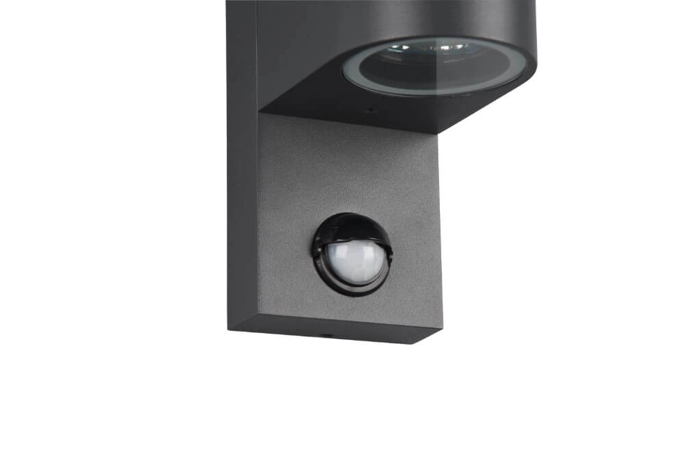 Downlighter Roya met sensor Trio 4017807529210