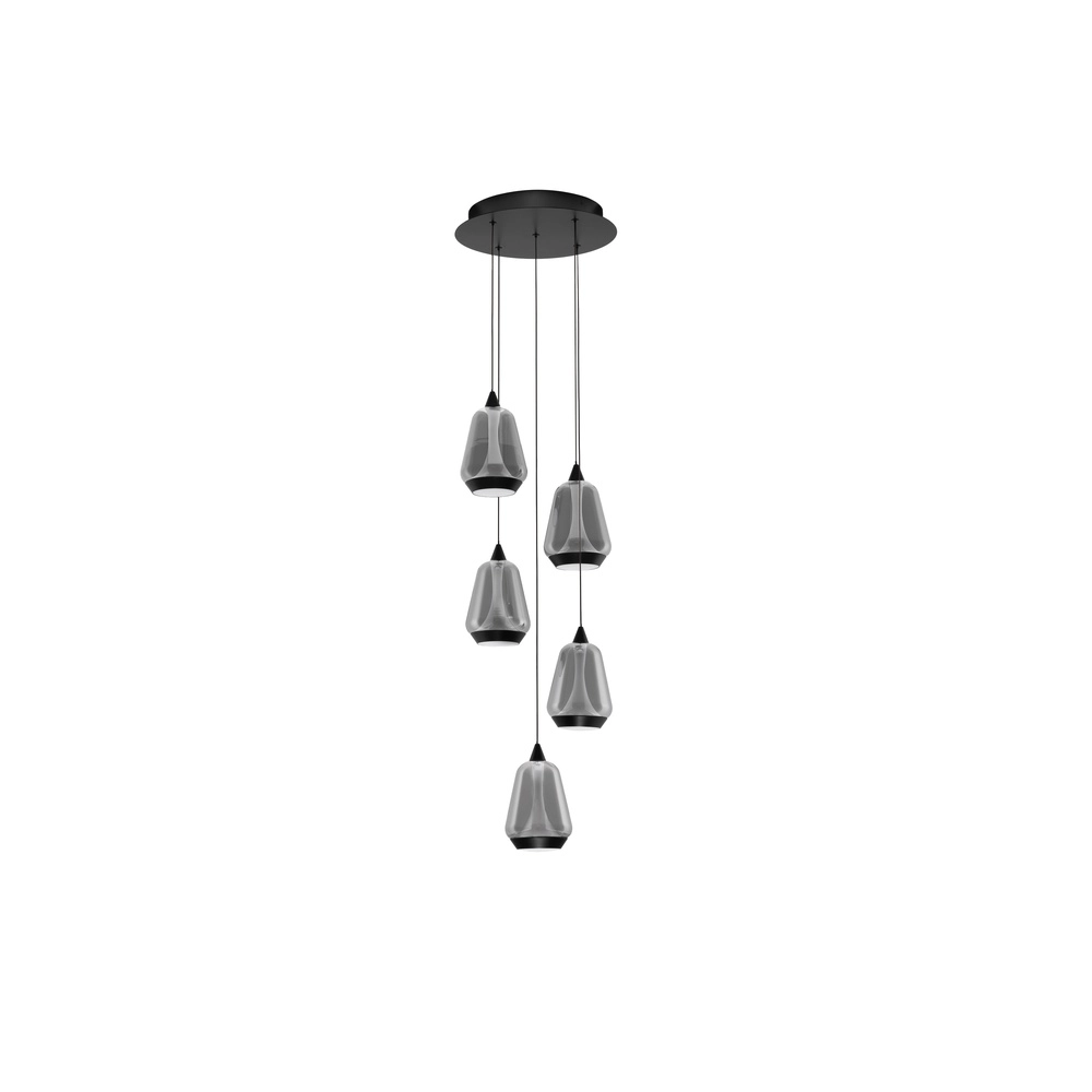 Design hanglamp Alish 5-lichts smoke glas Lyora 5212017477729
