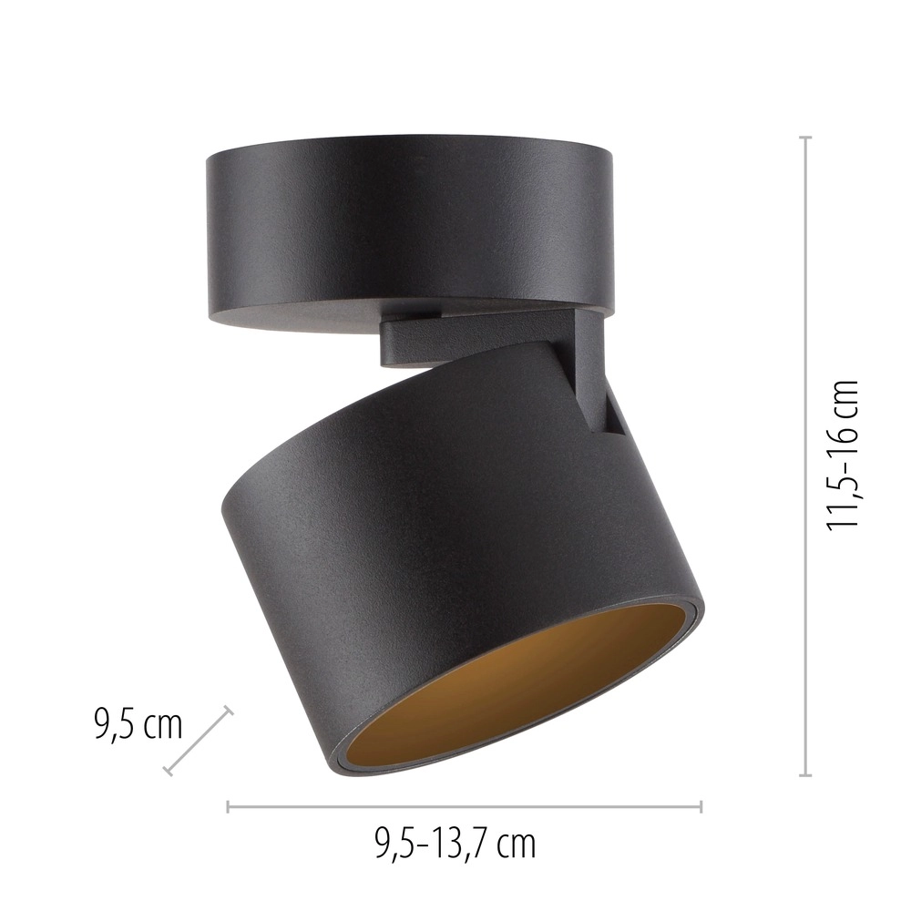 Strakke opbouwspot Pure Cup black pearl Paul Neuhaus 4012248395585