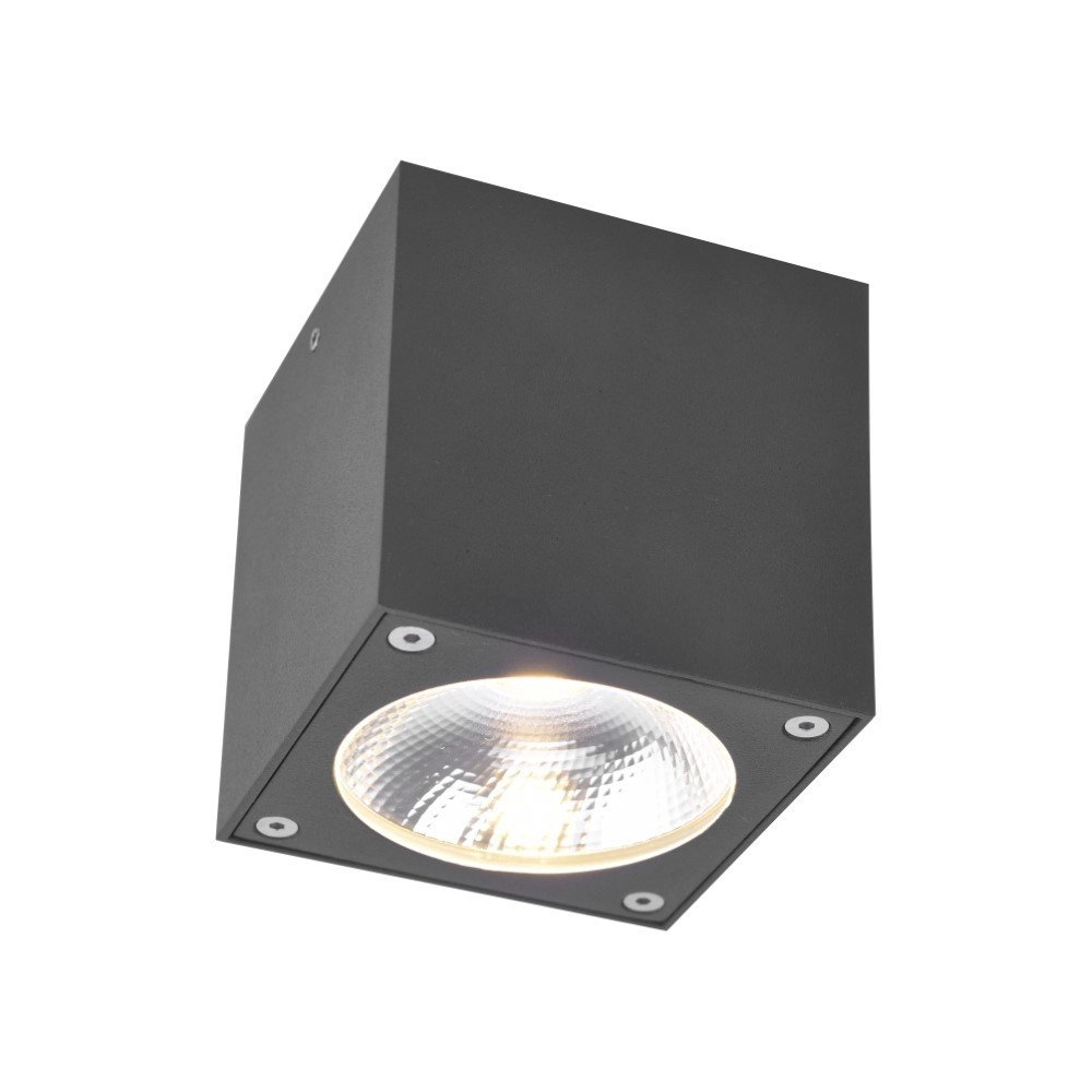 Led opbouwspot Georg