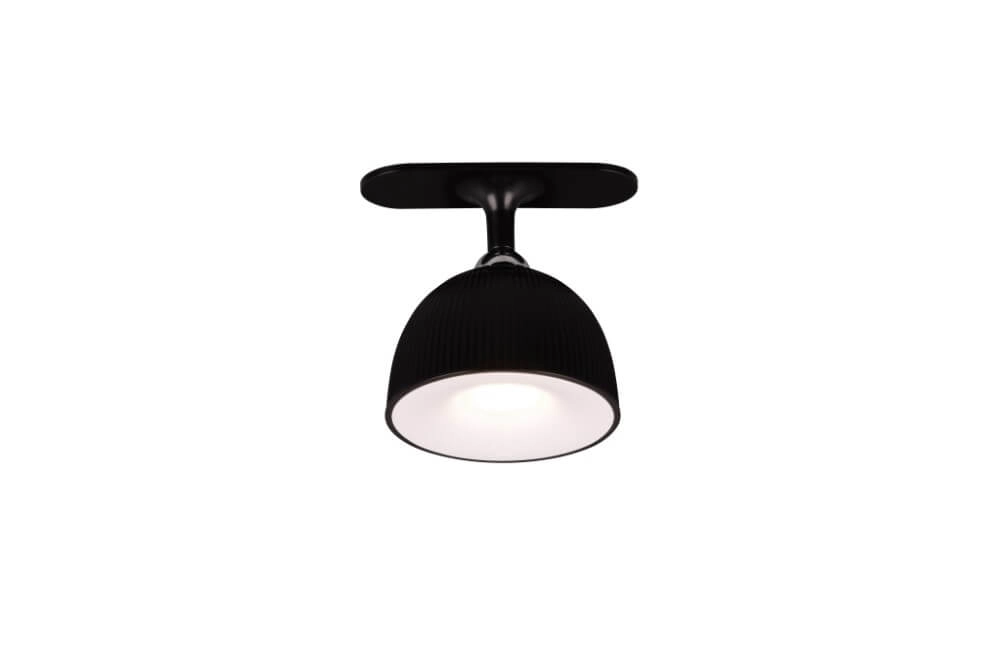 Multifuncitoneel lampje Maxima zwart Trio 4017807601961