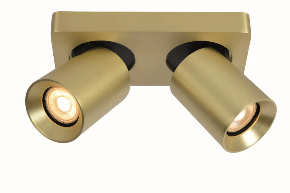 Richtbare opbouwspot Megano dubbel goud