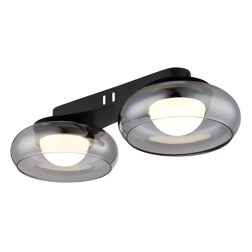 Design plafondlamp Carlene 2-lichts zwart