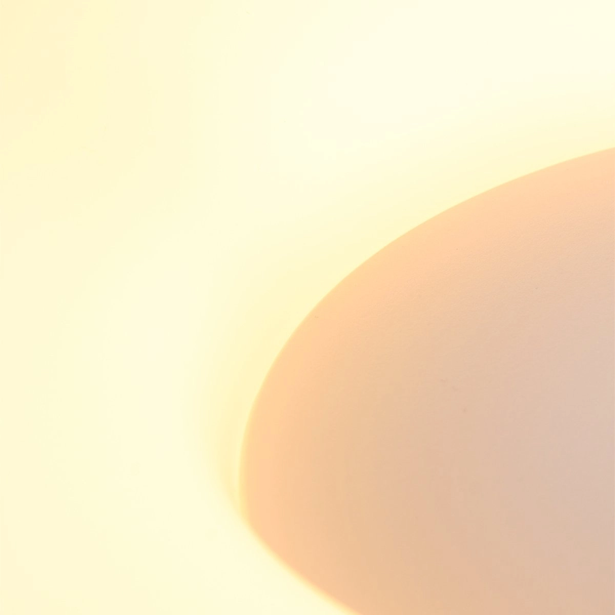 Design plafondlamp Ringlede Ø 48cm zwart Steinhauer 8712746131260