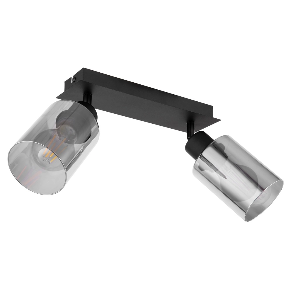 Plafondlamp Hadera 2-lichts zwart met smoke glas Globo 9007371440214