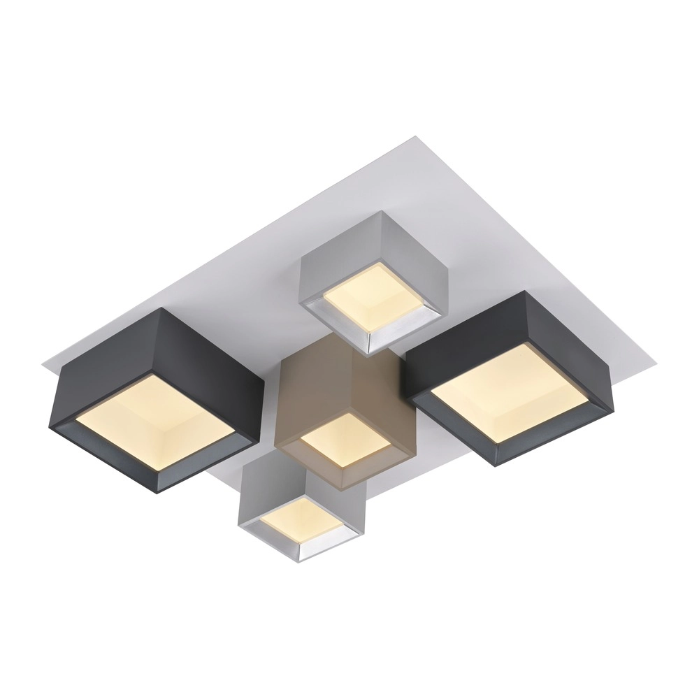 Led plafondlamp Pure Manhattan 5-lichts Paul Neuhaus 4012248396889