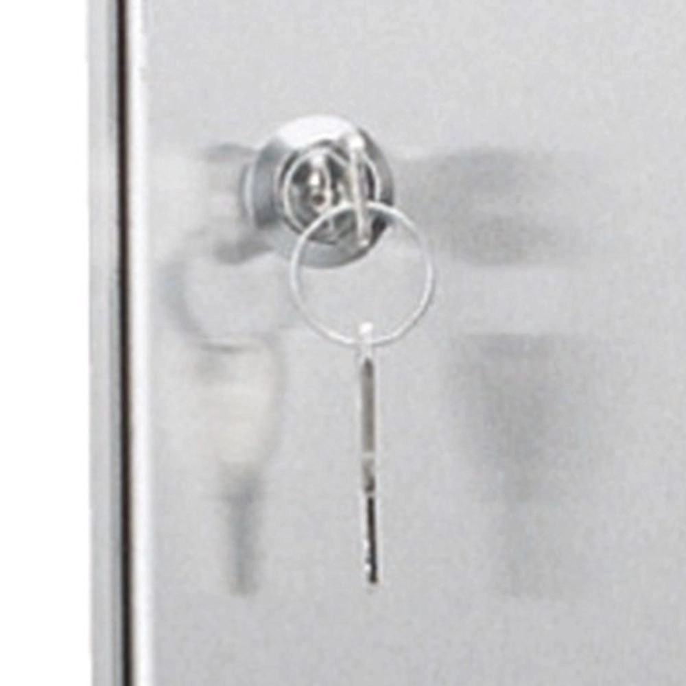 Brievenbusdeur in Frame RVS KS Verlichting 8714732172509