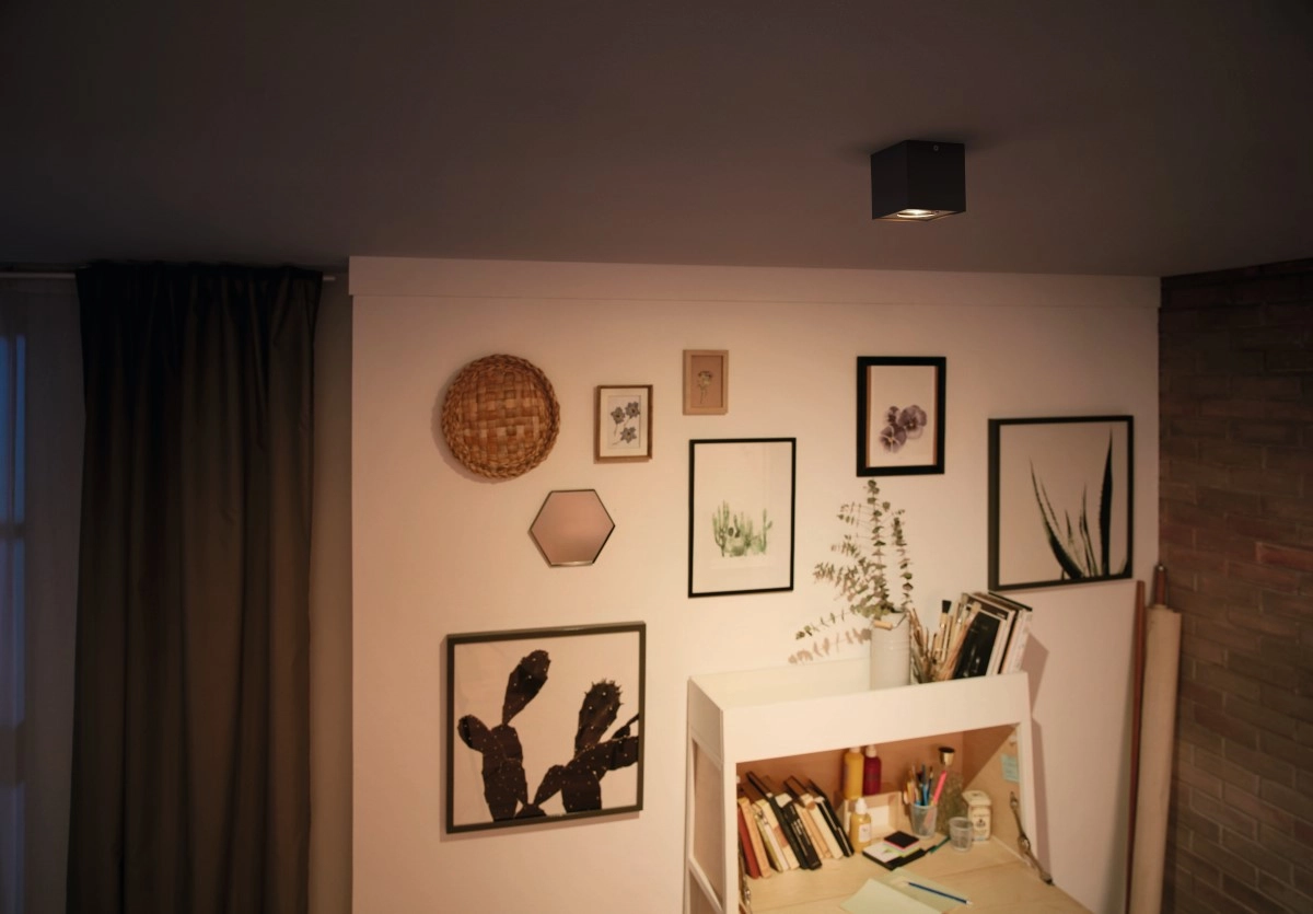 Opbouwspot Box Philips 8718696164518