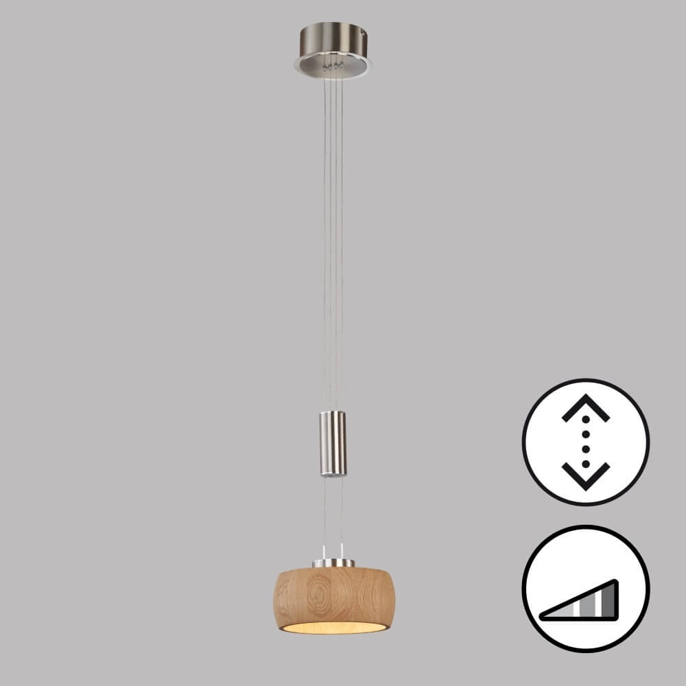 Hanglamp Shine-Wood led Fischer & Honsel 4003694610759