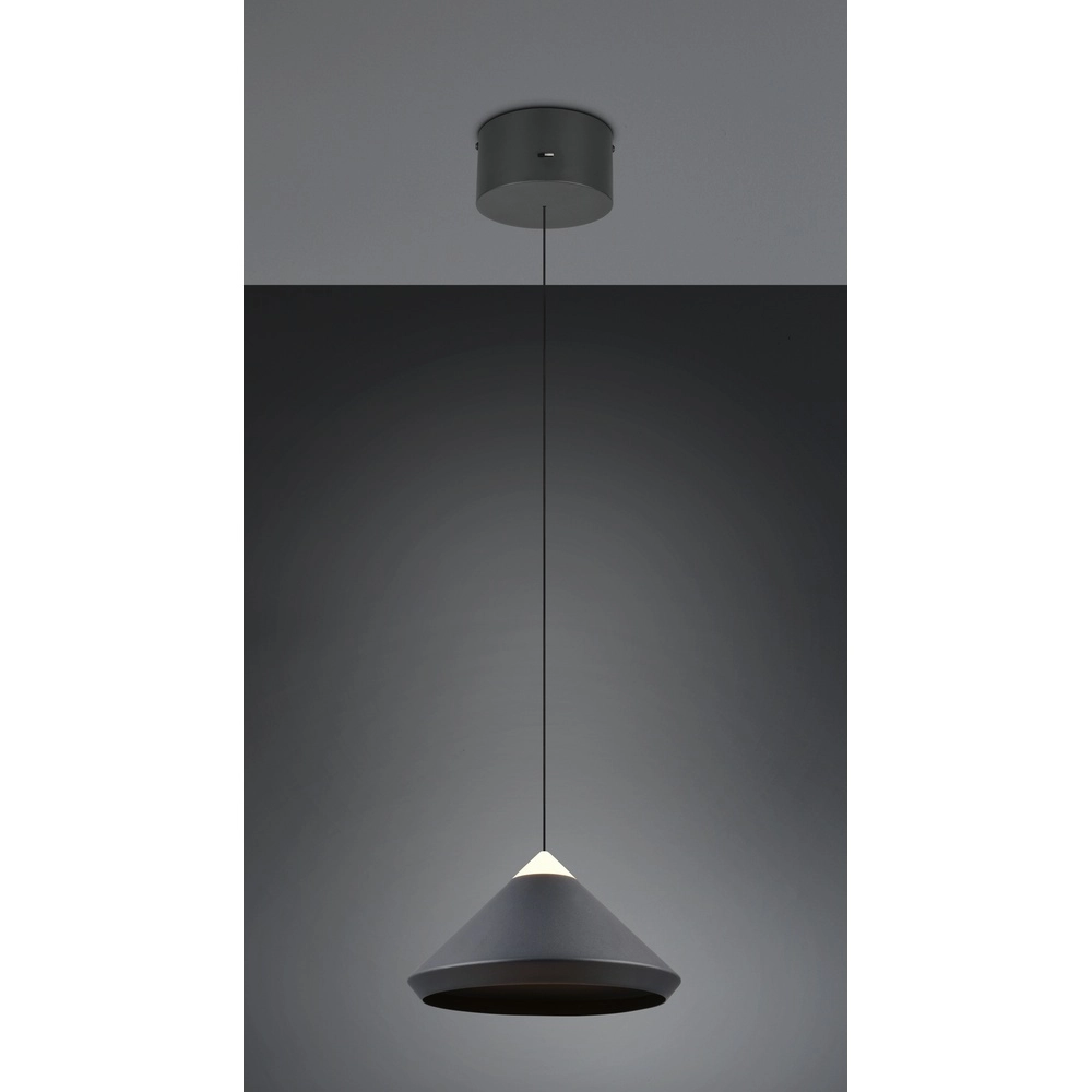 Moderne hanglamp Laguna Ø 30cm zwart Trio 4017807677508