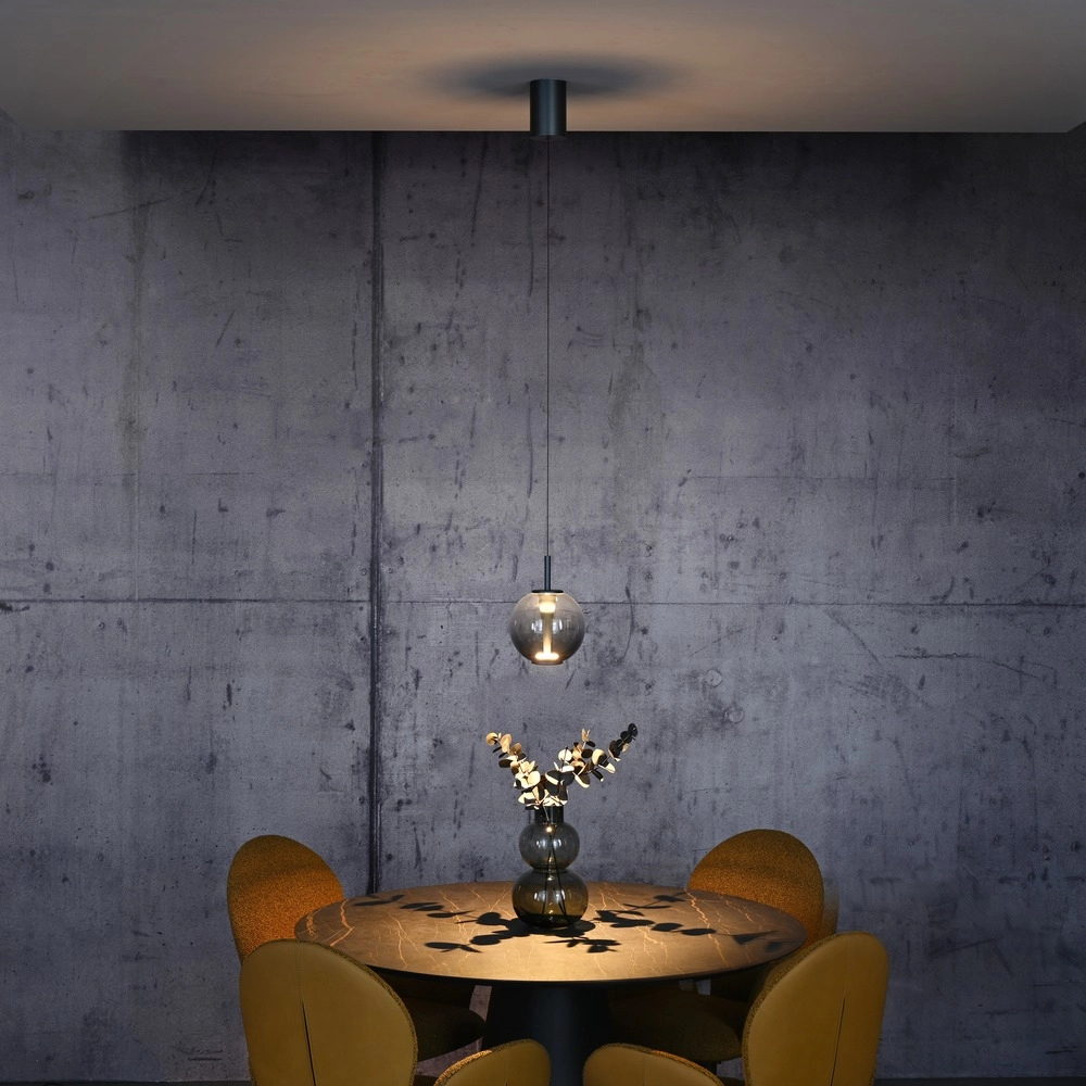 Led hanglamp Pure Infinity met smoke glas - Ø 18cm Paul Neuhaus 4012248399033