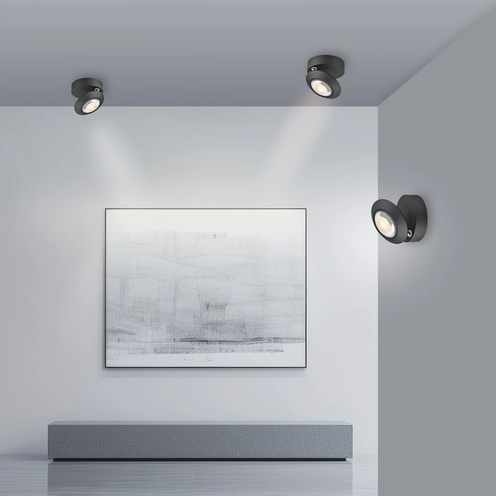 Led plafondspot Pure Oculis black pearl Paul Neuhaus 4012248397053