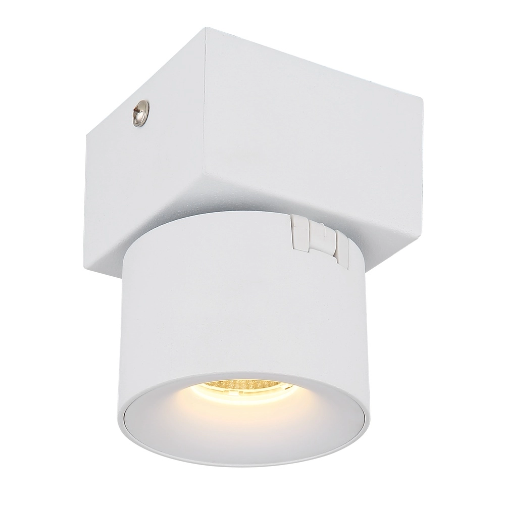 Strakke wandlamp Rae wit Globo 9007371459636