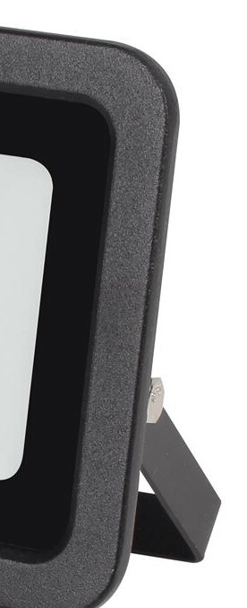 Led buitenschijnwerper Assist 30W - 2700 lm Reled 8719497494521