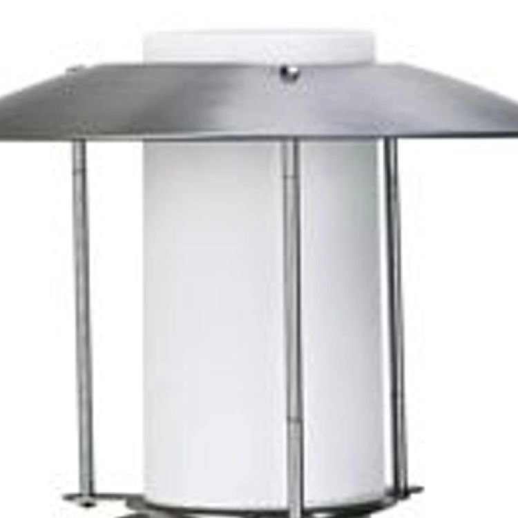 Buitenverlichting wandlamp RVS Lantern Albert 4007235902372