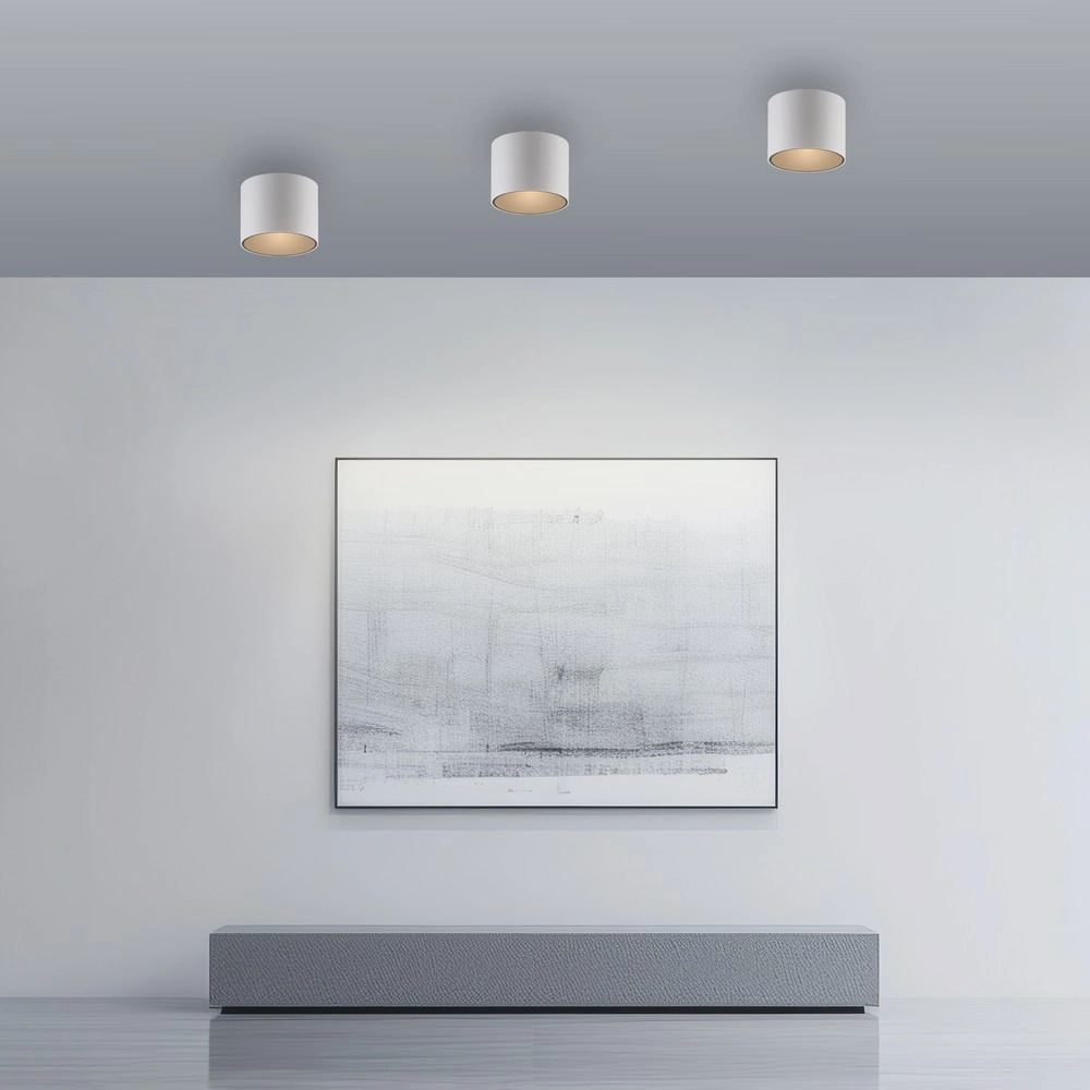 Plafond opbouwspot Pure Point Ø 11cm - wit Paul Neuhaus 4012248395639