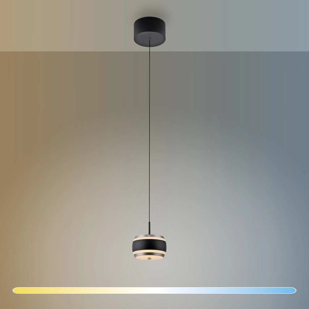 Strakke led pendel Pure Falling Rings black pearl Paul Neuhaus 4012248396551