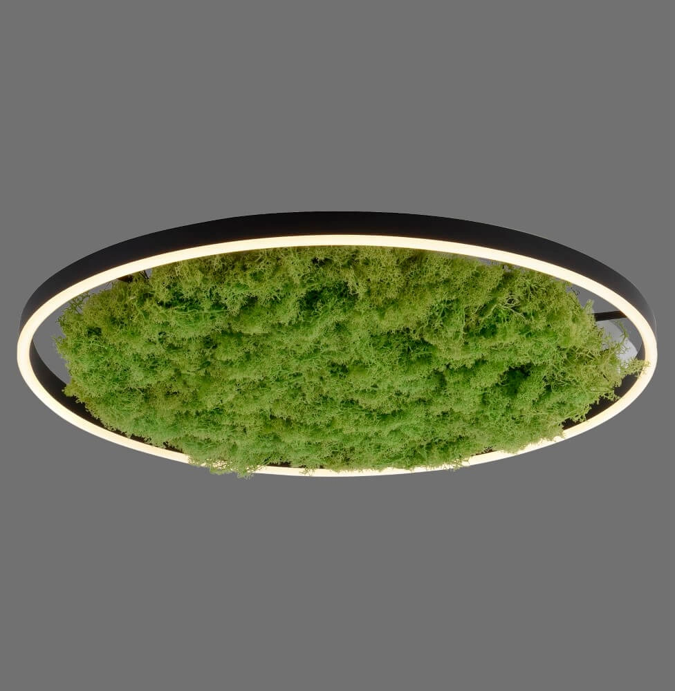 Plafondlamp Green Ritus met mos Ø 58,5cm Just Light 4043689994808