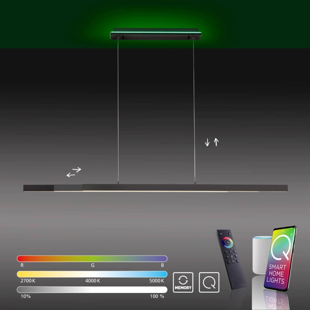 Moderne hanglamp Q-Arian antraciet Paul Neuhaus 4012248359846