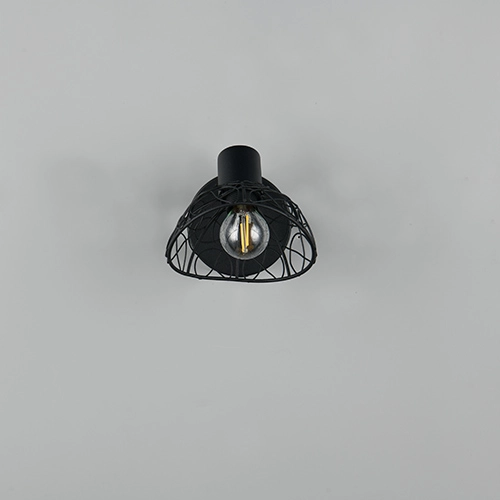 Plafondlamp Yako enkel zwart Trio 4017807670912