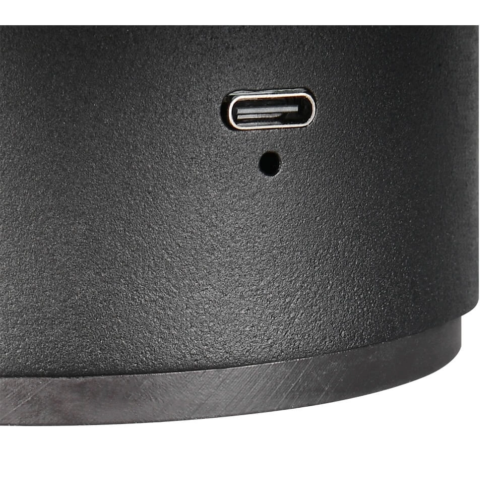 Zwarte wandlamp Davey Ø 15cm Trio 4017807643794